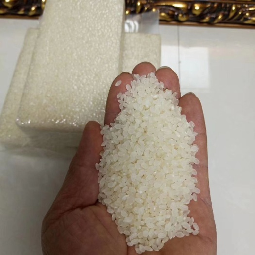 前郭县东北大米 纯松花江水灌溉水稻，口感好，米饭不回生