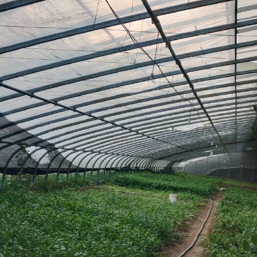 宿迁蔬菜大棚 大棚钢管批发，专业搭建蔬菜养殖花卉水产大棚