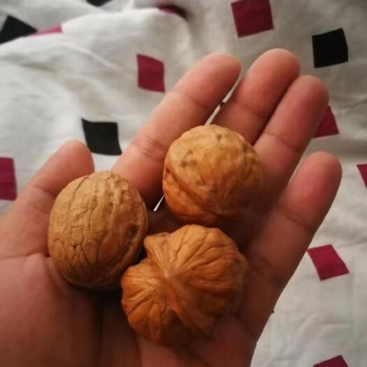 子洲县脱皮核桃 26~30mm 去皮 散装