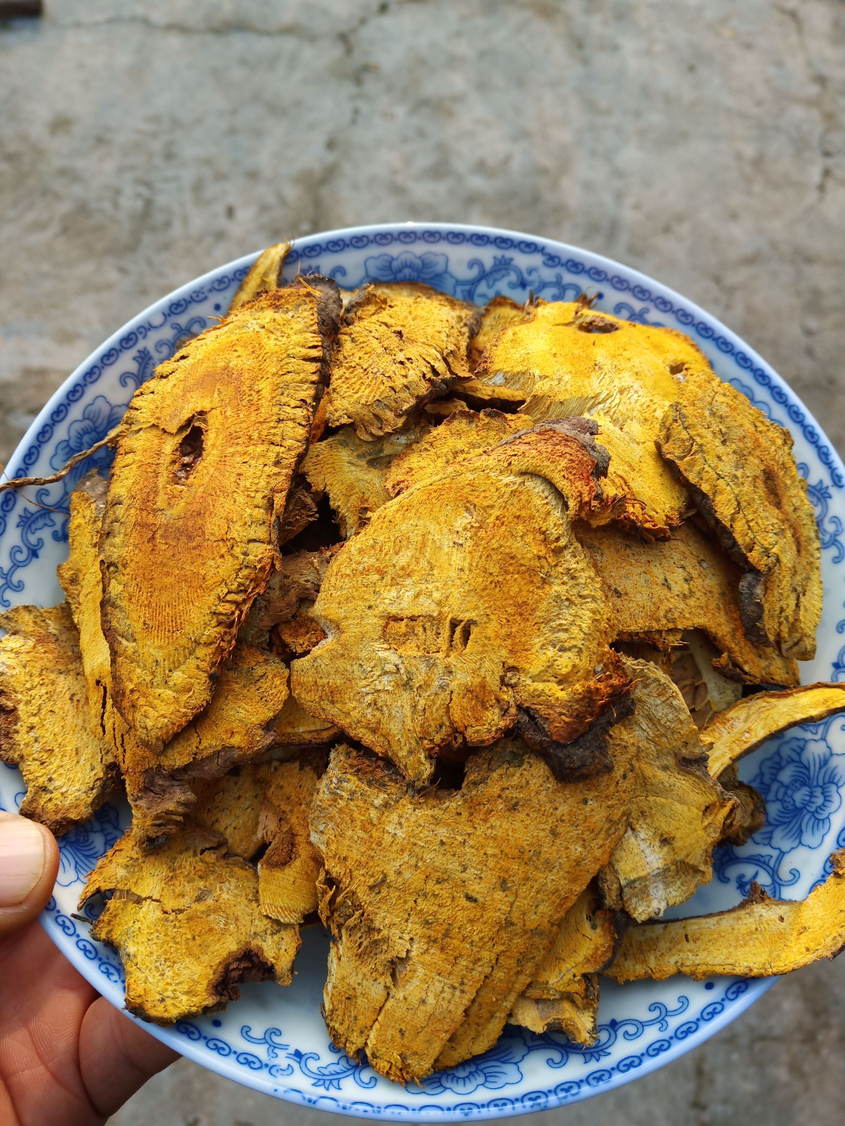 虎杖 中药材