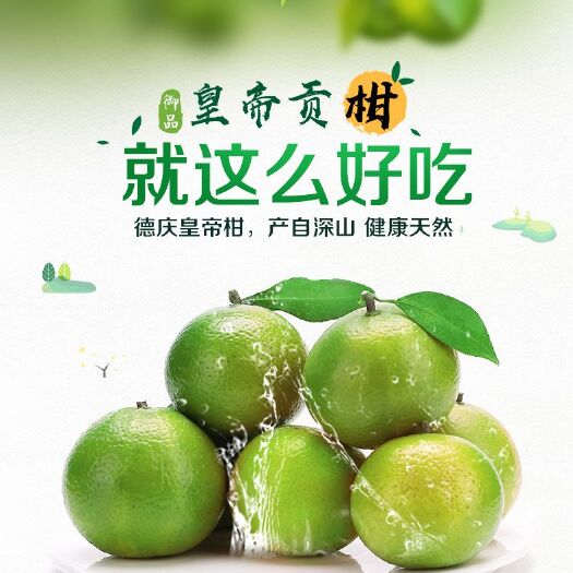 德庆县德庆贡柑 德庆皇帝柑贡柑产地直发顺丰包邮中大果及大果