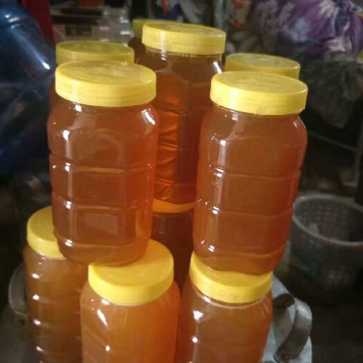 尉氏县 自己家养的蜜蜂，天然成熟蜂蜜