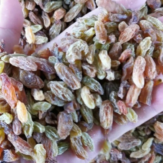 吐鲁番电商-地摊商-食品厂-专用葡萄干 麻子葡萄干