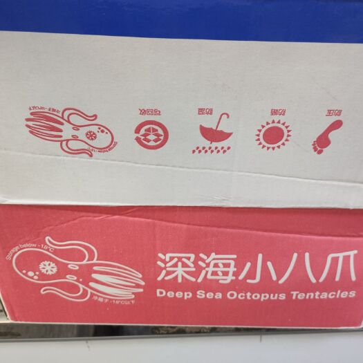 济南八爪鱼 袋装小八爪