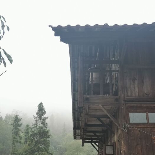 巴东县 自家百花土蜂蜜