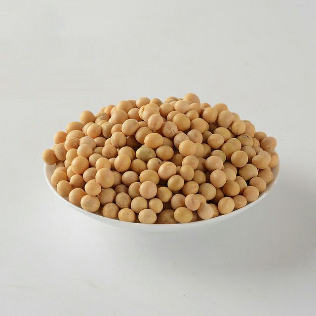  临州肾型黄豆