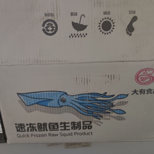 济南 精品袋装鱿鱼圈