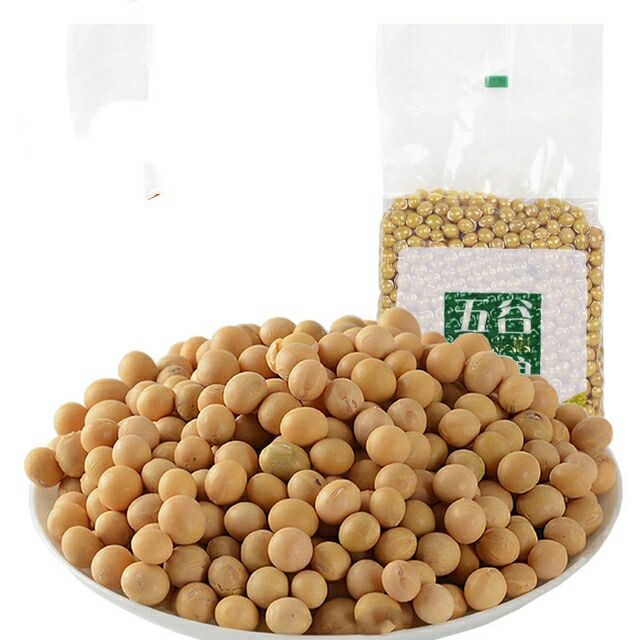  临州肾型黄豆
