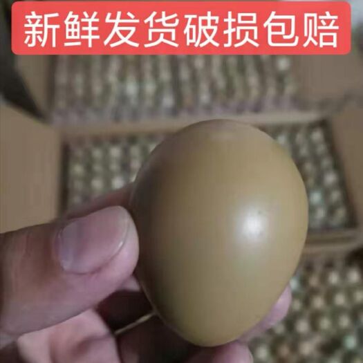 商河县 新鲜 鸡蛋  食用   50克以下，保质保量保鲜，破损包赔