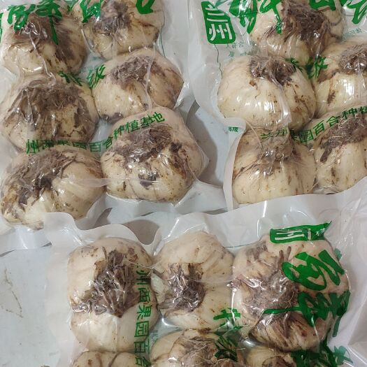 兰州兰州百合 兰州西果园食用级甜百合