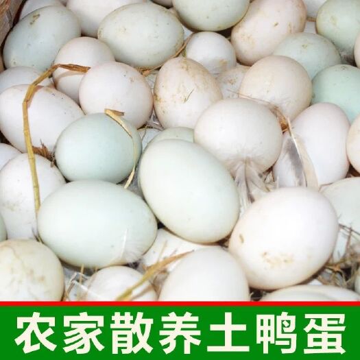 临高县 农家鸭蛋