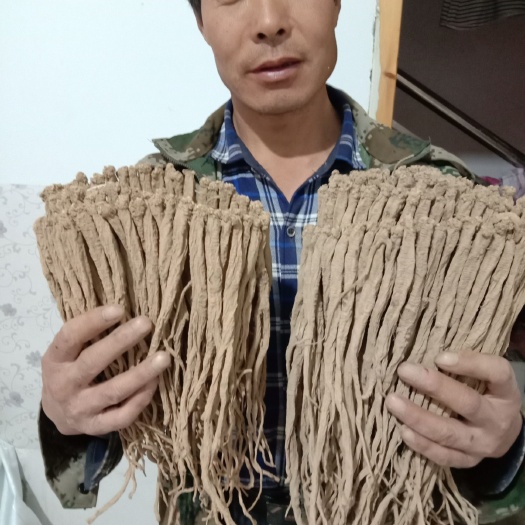 礼县纹党参