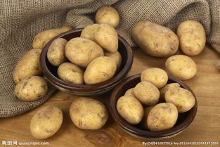  农村新鲜白土豆红土豆