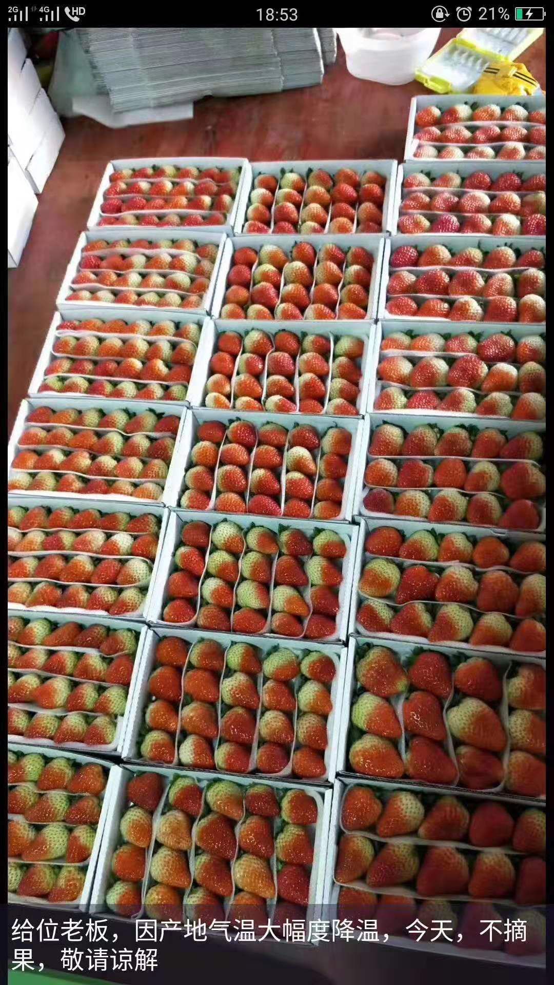长丰红颜草莓，承接电商，大量供应 超市 ，需要可以联系我