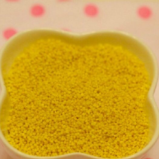 临县 黄小米新米吃的小米月子米食品小黄米小米粥粗粮五谷杂粮
