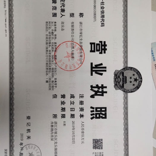 湛江 纯种黑羊
