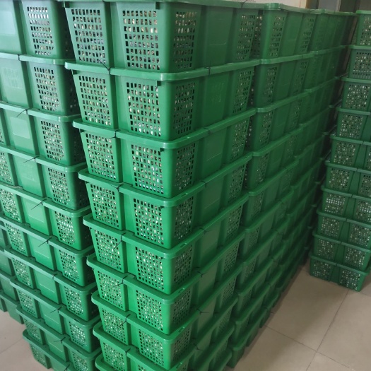 东源县土鹌鹑蛋 食用 箱装