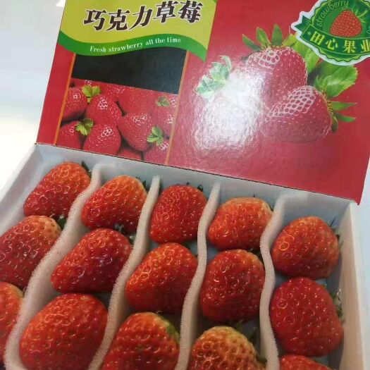 长丰红颜草莓，承接电商，大量供应 超市 ，需要可以联系我