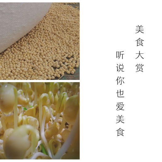 黑河黄大豆 黄豆，非转基因