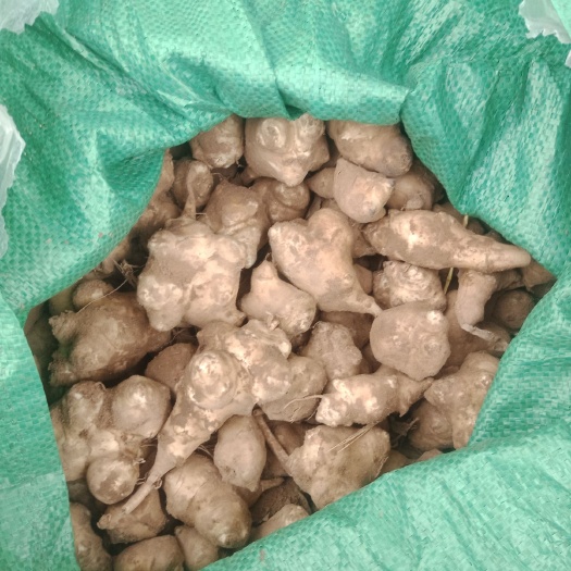 广宗县白洋姜