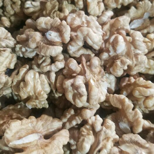汾阳市汾阳核桃 本地尖白，仁子饱满，色泽鲜
