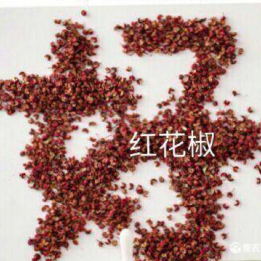 中阳县红花椒 一级 鲜花椒