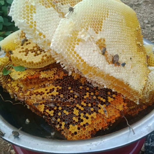 盐源县2024新土蜂蜜  百花蜜，四川大凉山过滤液态蜜500克