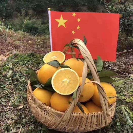 信丰县赣南脐橙 正宗赣南信丰脐橙，支持全国一件代发，欢迎微商电商恰淡
