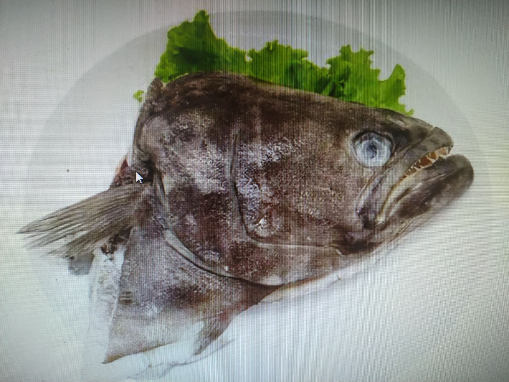 [鲽鱼批发]鲽鱼价格10元/个 - 惠农网