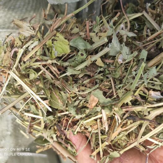 社旗县压块花生秧