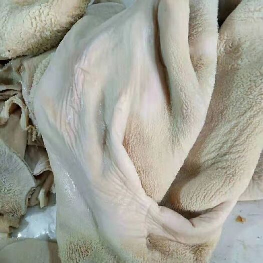 阳信县 八分熟牛肚