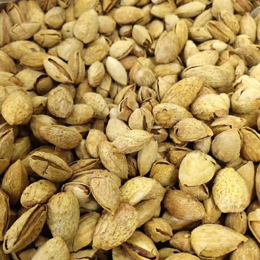 郑州巴旦木 1年 带壳