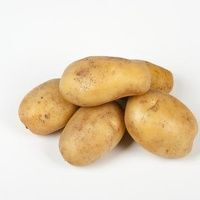 临县 土豆山西土豆新土豆土豆淀粉土豆食品