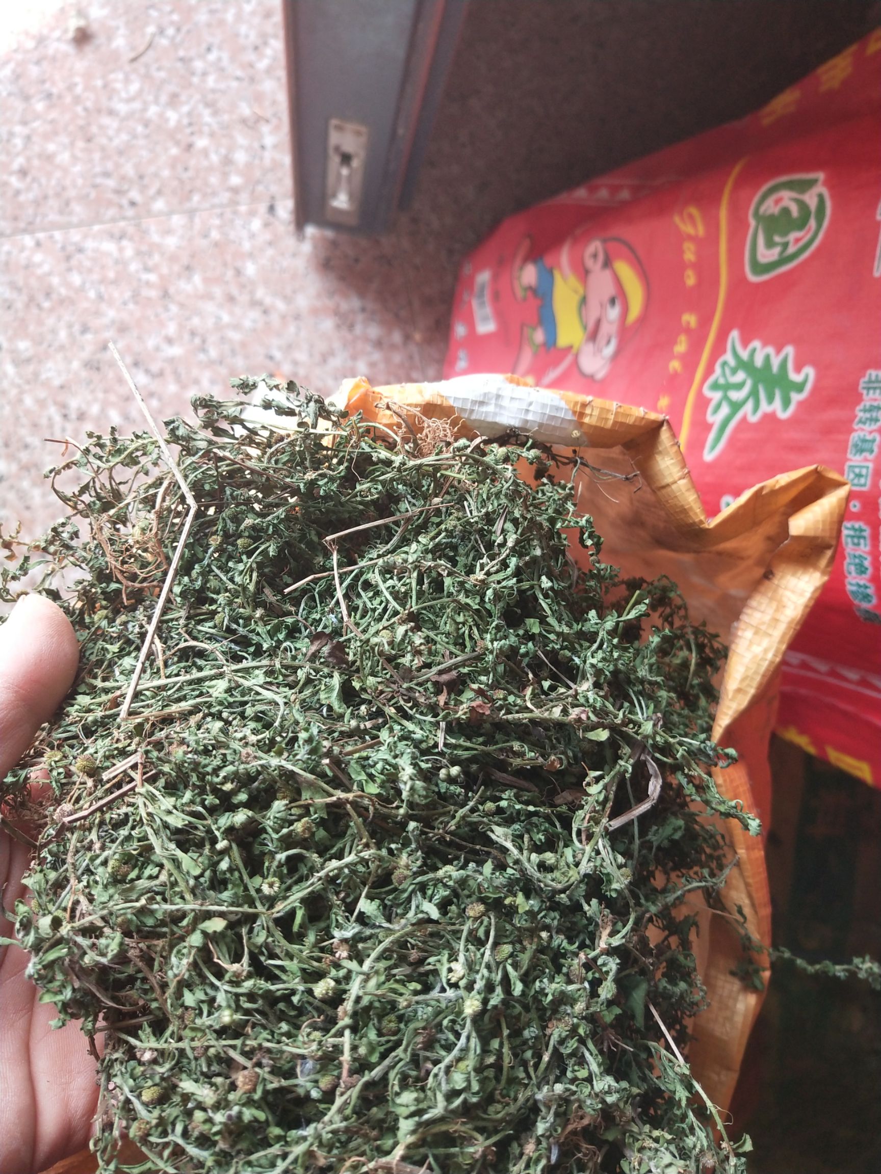 天胡荽 药材鹅不食草干货10元一斤