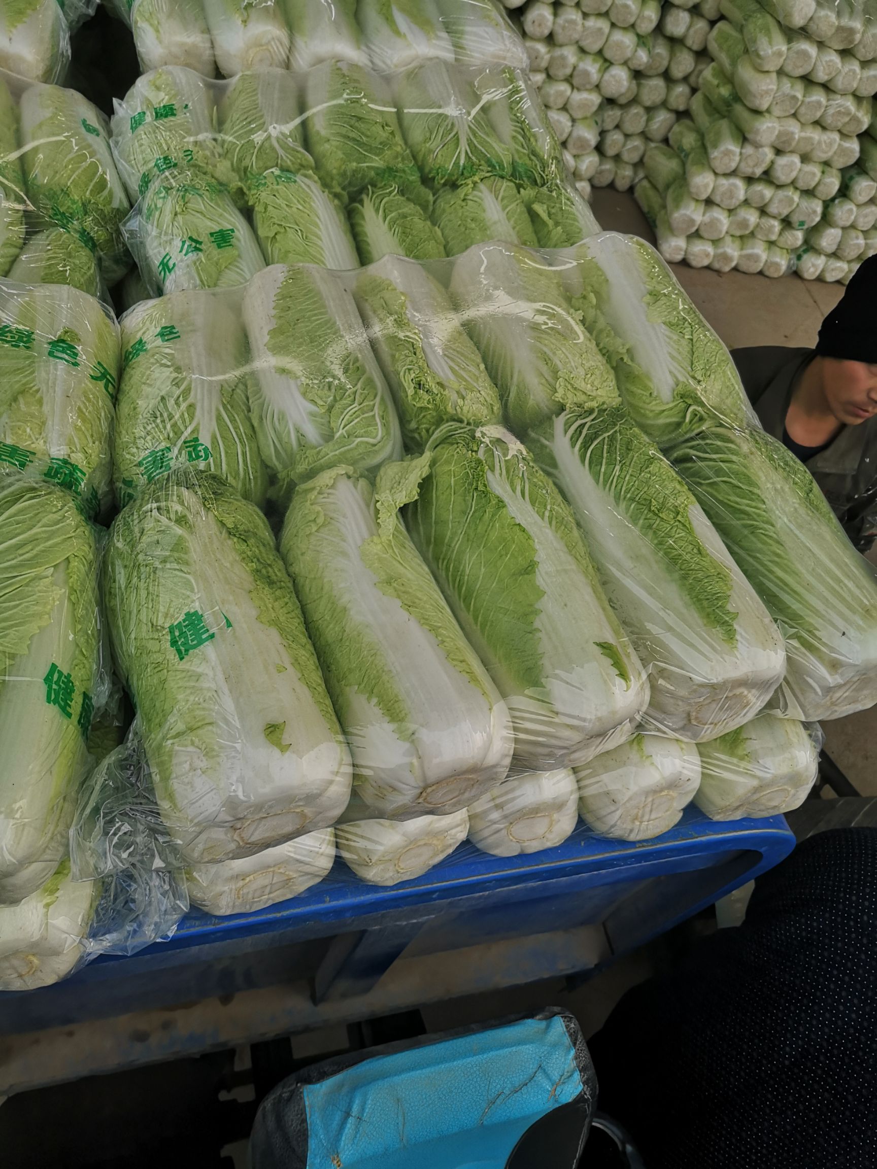 肥城市北京新3号  北京三号大白菜大量供应出售，优质货源，货发全国