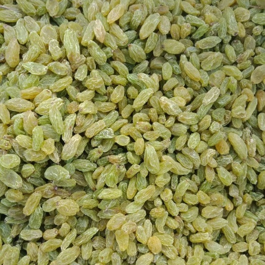 鄯善县 新疆吐鲁番市无核白葡萄干