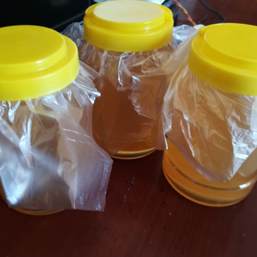 蒙山县 广西蒙山蜜蜂鸭脚木蜜冬蜜500g