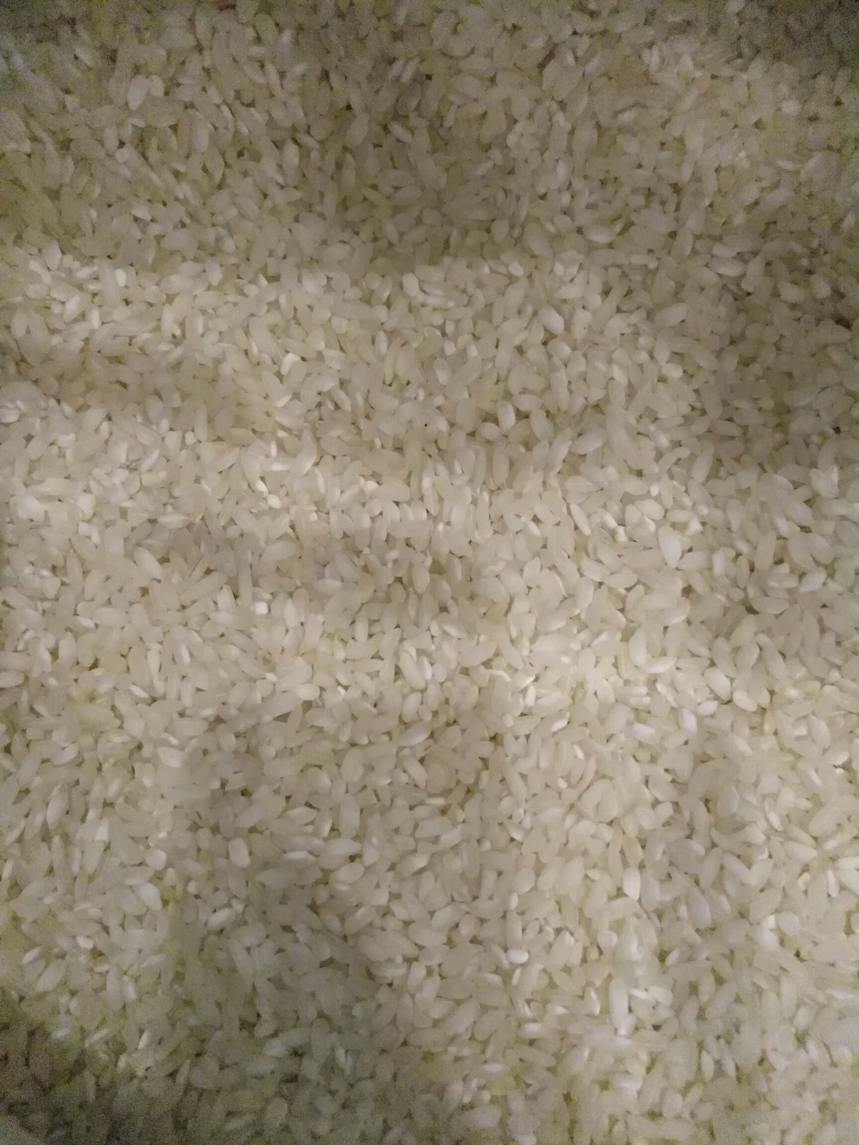 桂朝大米 桂朝米贵潮米