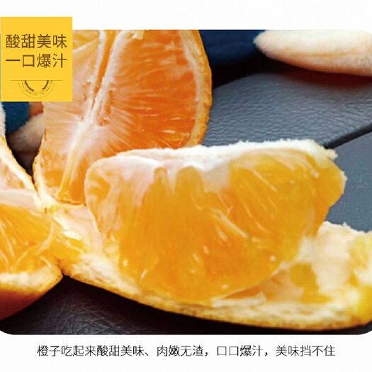 芷江县 芷江冰糖橙