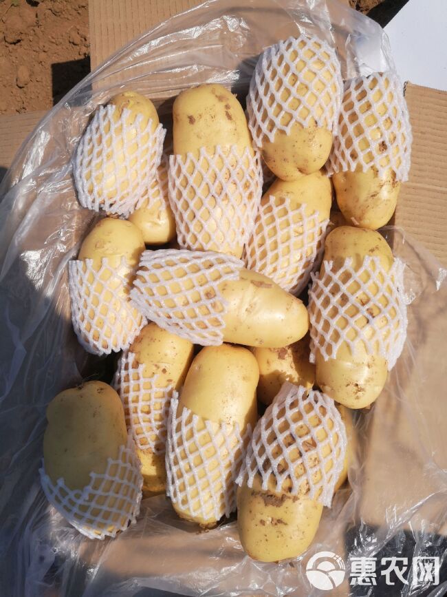优质V7沃土希森新土豆大量上市，规格齐全，价格美丽！全国发货