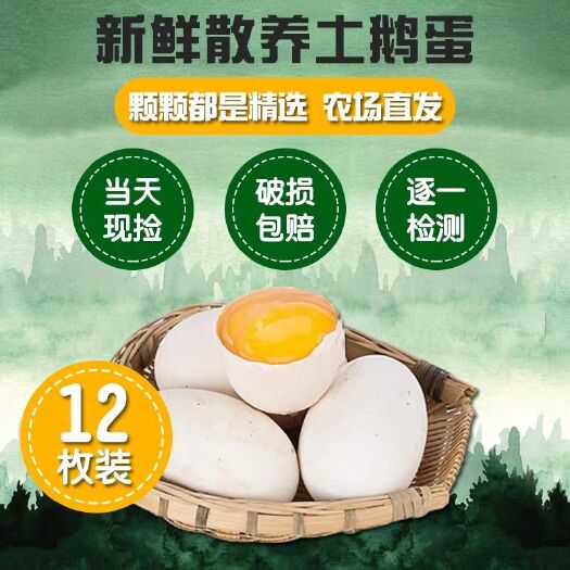 肇庆 新鲜狮头鹅鹅蛋