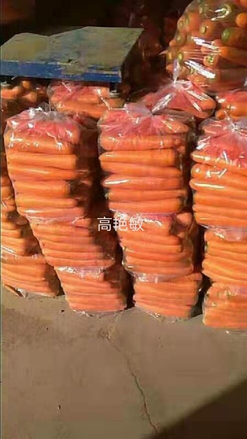 温县三红胡萝卜 三红水洗红萝卜