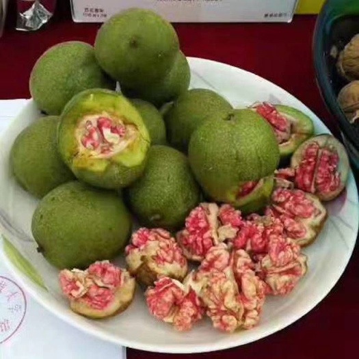 平邑县薄皮核桃苗 薄皮，香玲核桃南北方种植当年挂果
