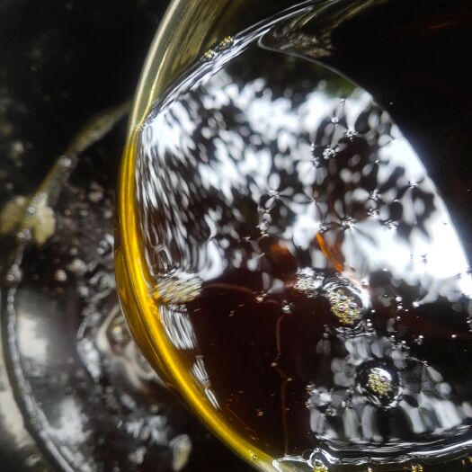 成都自榨纯菜籽油 四川郫县纯菜油