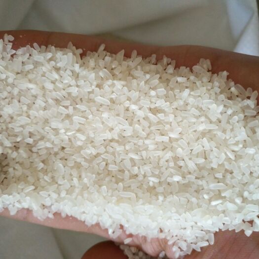 碎米 可煮粥煮饭