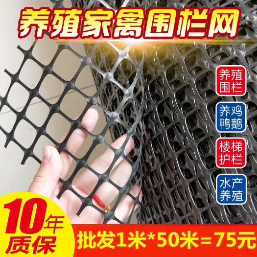 安平县护栏网/ 塑料网格养殖网塑料土工格栅养鸡围栏家用户外 防护网漏粪