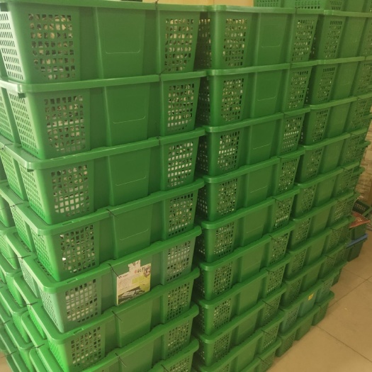东源县 新鲜鹌鹑蛋质量杠杠的。