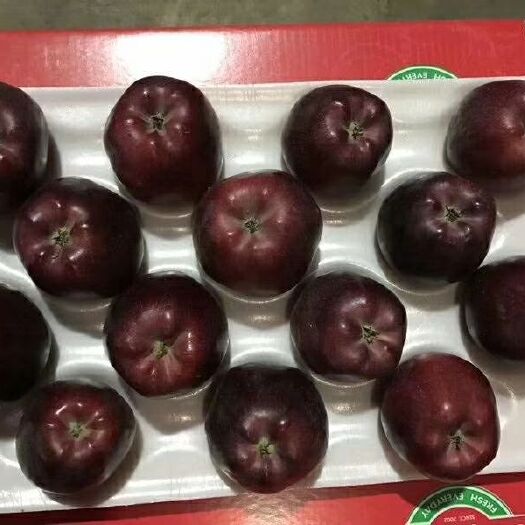 天水需要花牛苹果。朋友。请与我私信私聊。从:一箱做起。不限多少