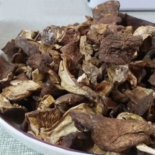 岚县 山西岚县特产纯野生山蘑菇天然野生蘑菇食用菌新货也蘑菇