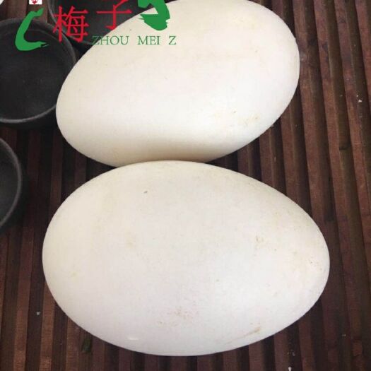 蒙城县 生态鹅蛋8个装